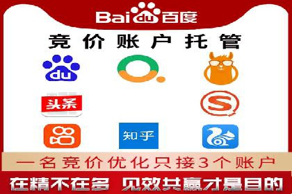 行业案例研究：SEM竞价托管的策略与挑战
